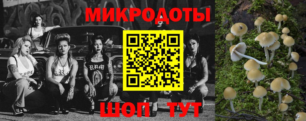 Псилоцибиновые грибы MAGIC MUSHROOMS Мегион