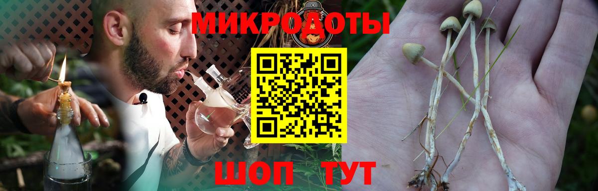 Мегион  Галлюциногенные грибы мицелий  Вход с VPN 